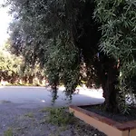 All'uliveto Affittacamere 3*