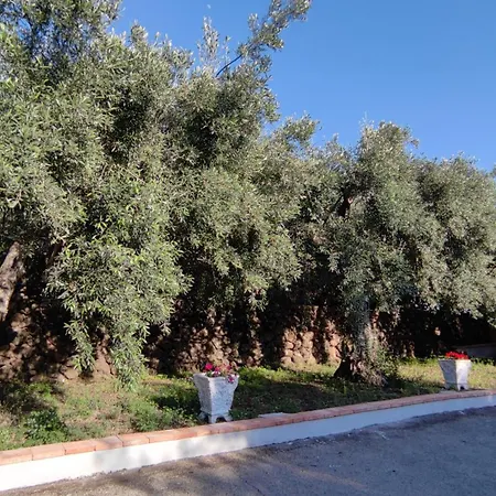 All'uliveto 3* Santa Maria di Licodia