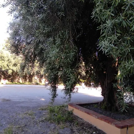 All'uliveto Guest house *
